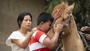 The film is an index of how polo players and ponies are leading pathetic lives in the birthplace of polo.(A STILL FROM THE FILM ‘Eigi Kona (Stallone My Pony)’.) The film is an index of how polo players and ponies are leading pathetic lives in the birthplace of polo.(A STILL FROM THE FILM ‘Eigi Kona (Stallone My Pony)’.)