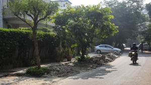 Citing the increase in Delhi’s green cover from 268 sqkm to 324 sqkm in 2019, DDA vice-chairman Anurag Jain said that the Delhi government’s compensatory plantation policy of planting trees in 1:10 ratio has played an important role.(Amal KS/HT file photo. Representative image) Citing the increase in Delhi’s green cover from 268 sqkm to 324 sqkm in 2019, DDA vice-chairman Anurag Jain said that the Delhi government’s compensatory plantation policy of planting trees in 1:10 ratio has played an important role.(Amal KS/HT file photo. Representative image)