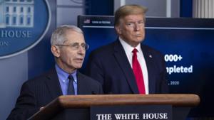 Dr Anthony Fauci indicated that there could be a requirement to test travellers before they arrive in the country.(AP) Dr Anthony Fauci indicated that there could be a requirement to test travellers before they arrive in the country.(AP)