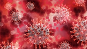 Recent analyses indicate that pregnant women and newborns may face elevated risks of developing more severe cases of Covid-19 following SARS-CoV-2 infection.(Pixabay) Recent analyses indicate that pregnant women and newborns may face elevated risks of developing more severe cases of Covid-19 following SARS-CoV-2 infection.(Pixabay)