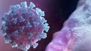 The novel coronavirus, SARS-CoV-2, emerged as a new strain in the large family of coronaviruses (CoV) which was previously not identified in humans.(via REUTERS) The novel coronavirus, SARS-CoV-2, emerged as a new strain in the large family of coronaviruses (CoV) which was previously not identified in humans.(via REUTERS)