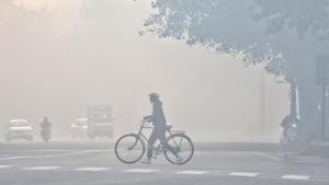 A cyclist out on a cold and foggy morning in New Delhi.(Sanchit Khanna/HT PHOTO) A cyclist out on a cold and foggy morning in New Delhi.(Sanchit Khanna/HT PHOTO)