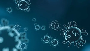 According to the researchers, one of the most urgent tasks is to understand all the molecular interactions between the virus and the cells it infects.(Pixabay) According to the researchers, one of the most urgent tasks is to understand all the molecular interactions between the virus and the cells it infects.(Pixabay)