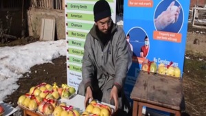 Adnan Ali Khan is selling around fifteen varieties of apples and selling to customers in packs having one to six apples.(ANI) Adnan Ali Khan is selling around fifteen varieties of apples and selling to customers in packs having one to six apples.(ANI)