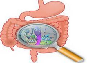 Mount Sinai researchers claim to have discovered new measures to predict risk for inflammatory bowel diseases (IBD) including Crohn’s disease and ulcerative colitis.(ANI) Mount Sinai researchers claim to have discovered new measures to predict risk for inflammatory bowel diseases (IBD) including Crohn’s disease and ulcerative colitis.(ANI)