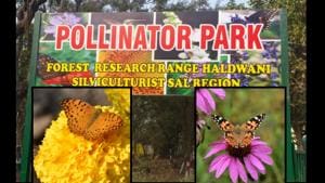 The park has around 50 different pollinator species, which include various species of butterflies, honeybees, birds and other insects.(ANI) The park has around 50 different pollinator species, which include various species of butterflies, honeybees, birds and other insects.(ANI)