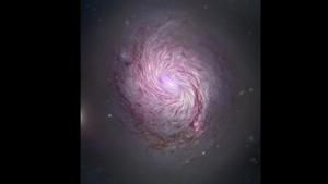 The image was shared by NASA on Instagram.(Instagram/@NASA) The image was shared by NASA on Instagram.(Instagram/@NASA)