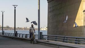 A cyclist wears a protective mask while riding along a near-empty Sabarmati Riverfront in Ahmedabad.(Bloomberg) A cyclist wears a protective mask while riding along a near-empty Sabarmati Riverfront in Ahmedabad.(Bloomberg)