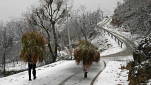 Men carry fodder through a road after snowfall on the outskirts of Srinagar.(AFP) Men carry fodder through a road after snowfall on the outskirts of Srinagar.(AFP)