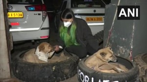 The image shows a vet student Vibha Tomar.(Twitter/@ANI) The image shows a vet student Vibha Tomar.(Twitter/@ANI)