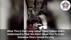 The image shows a still from a video which was shared on January 1.(Twitter/@MumbaiPolice) The image shows a still from a video which was shared on January 1.(Twitter/@MumbaiPolice)
