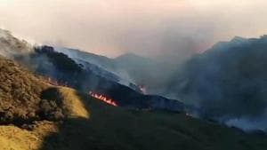 The forest fire that has been raging in the picturesque Dzukou Valley on the Nagaland-Manipur order since Tuesday.(https://twitter.com/NBirenSingh)