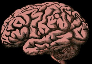 A study published in the journal JNeurosci claims that the loss and return of consciousness including both sleep and anaesthesia are propelled by the same network of brain regions.(Pixabay) A study published in the journal JNeurosci claims that the loss and return of consciousness including both sleep and anaesthesia are propelled by the same network of brain regions.(Pixabay)