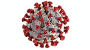 Chemotherapy drug outperforms remdesivir against coronavirus in lab experiments(Pexels) Chemotherapy drug outperforms remdesivir against coronavirus in lab experiments(Pexels)