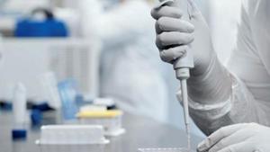 It states that apart from the primary activity of doing research, researchers also have to spend a considerable amount of their time and resources on administrative activities related to projects(via REUTERS) It states that apart from the primary activity of doing research, researchers also have to spend a considerable amount of their time and resources on administrative activities related to projects(via REUTERS)