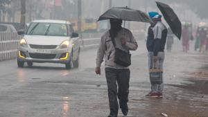 Pedestrians holding umbrellas walk in rain.(PTI Photo) Pedestrians holding umbrellas walk in rain.(PTI Photo)