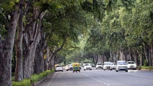 The Gandhi Smarak Nidhi trust said there was a miscommunication because of which the trees were chopped.(Representational) The Gandhi Smarak Nidhi trust said there was a miscommunication because of which the trees were chopped.(Representational)