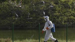 Workers spray to sanitize the area in front of bird enclosure as Delhi National Zoological Park shuts down temporarily amid bird flu in Delhi.(Vipin Kumar/HT PHOTO) Workers spray to sanitize the area in front of bird enclosure as Delhi National Zoological Park shuts down temporarily amid bird flu in Delhi.(Vipin Kumar/HT PHOTO)