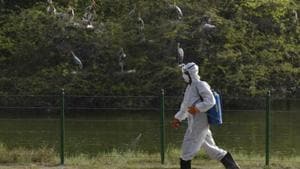 File photo: Workers spray to sanitize the area in front of bird enclosure.(Vipin Kumar/HT PHOTO) File photo: Workers spray to sanitize the area in front of bird enclosure.(Vipin Kumar/HT PHOTO)