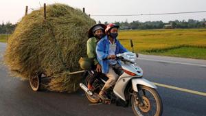 Dwindling supplies and continued Philippine buying have lifted Vietnamese rice export prices to a fresh nine-year high.(REUTERS) Dwindling supplies and continued Philippine buying have lifted Vietnamese rice export prices to a fresh nine-year high.(REUTERS)