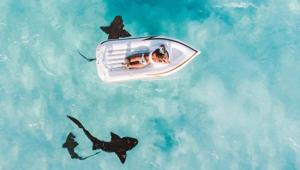 The new study was published in the journal of Tourism Analysis.(Unsplash) The new study was published in the journal of Tourism Analysis.(Unsplash)