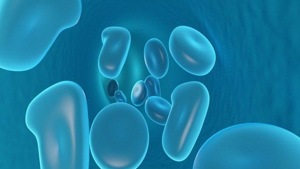 Researchers have discovered that a protein called NF-kappa B-inducing kinase (NIK) is essential for the shift in metabolic activity that occurs with T cell activation, making it a critical factor in regulating the anti-tumour immune response.(ANI) Researchers have discovered that a protein called NF-kappa B-inducing kinase (NIK) is essential for the shift in metabolic activity that occurs with T cell activation, making it a critical factor in regulating the anti-tumour immune response.(ANI)