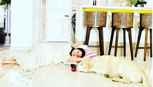 Anushka Sharma is pregnant with her first child. Anushka Sharma is pregnant with her first child.