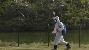File photo: Workers spray to sanitize the area in front of bird enclosure.(Vipin Kumar/HT PHOTO) File photo: Workers spray to sanitize the area in front of bird enclosure.(Vipin Kumar/HT PHOTO)
