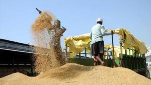 In October last year, Haryana food and civil supplies department had sealed two mills of a Karnal-based trader for not returning 10,696 MT custom milled rice worth ₹37 crore(Representational picture) In October last year, Haryana food and civil supplies department had sealed two mills of a Karnal-based trader for not returning 10,696 MT custom milled rice worth ₹37 crore(Representational picture)