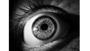 A new study looks at the effectiveness of seven artificial intelligence-based screening algorithms to diagnose diabetic retinopathy, the most common diabetic eye disease leading to vision loss.(Yahoo)