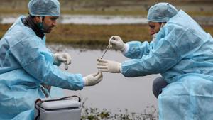 Telangana minister for animal husbandry T Srinivasa Yadav, who held a meeting with higher officials of the department following an alert from the Centre, said there were no reports of any bird flu cases from any part of the state so far.(PTI) Telangana minister for animal husbandry T Srinivasa Yadav, who held a meeting with higher officials of the department following an alert from the Centre, said there were no reports of any bird flu cases from any part of the state so far.(PTI)