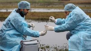 Karnataka Animal Husbandry minister Prabhu Chavan has asked officials of his department to ensure that the Centre’s protocols regarding bird flu are strictly adhered to. (Image used for representation).(PTI PHOTO.) Karnataka Animal Husbandry minister Prabhu Chavan has asked officials of his department to ensure that the Centre’s protocols regarding bird flu are strictly adhered to. (Image used for representation).(PTI PHOTO.)