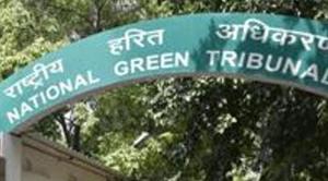 The National Green Tribunal said that no further activity shall be taken up in 436 acres in forest land in Bhubaneswar without first complying with the requirement of law.(HT PHOTO) The National Green Tribunal said that no further activity shall be taken up in 436 acres in forest land in Bhubaneswar without first complying with the requirement of law.(HT PHOTO)