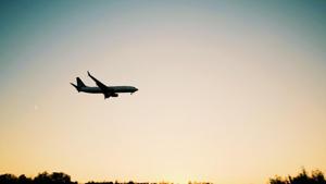 Representational Image(Unsplash) Representational Image(Unsplash)