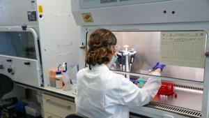 The development of the new shape-shifting nanomaterial at Emory was ‘a fortuitous accident’ according to the researchers.(Reuters file photo. Representative image) The development of the new shape-shifting nanomaterial at Emory was ‘a fortuitous accident’ according to the researchers.(Reuters file photo. Representative image)