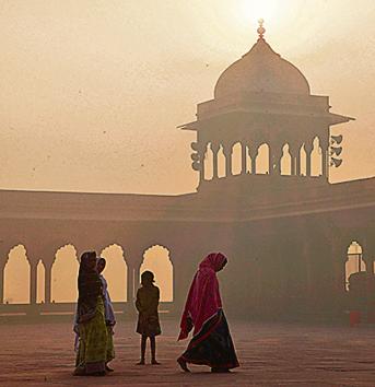 At the Jama Masjid in Old Delhi. We’ve been using plants like the sanseviera to clean our air since about 1,000 BC. Maybe it’s time to bring them home again.(AFP)