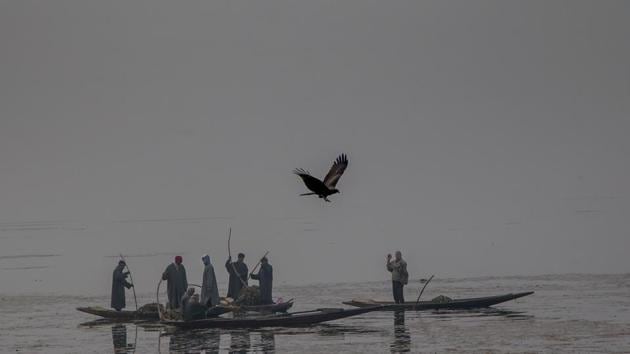 An eagle flies past Kashmiri workers removing weed on a cold and foggy day at the Dal Lake in Srinagar. Cold conditions continued in most parts of Kashmir with fog affecting air traffic and normal life. (AP)