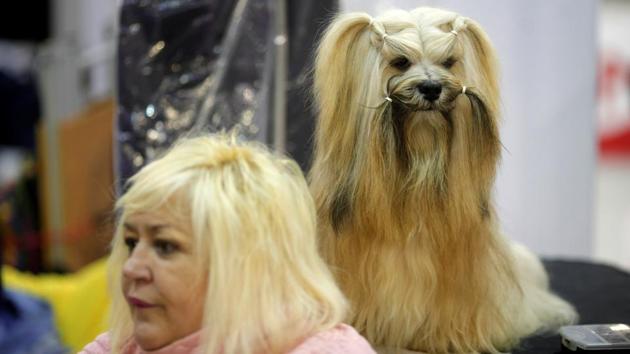 The fair aims to bring together all companies connected to the pet sector to market their products and services at one event. (Reuters) The fair aims to bring together all companies connected to the pet sector to market their products and services at one event. (Reuters)