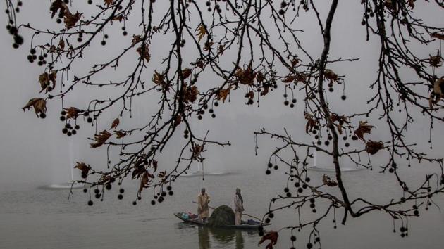 Kashmiri workers row their boat towards shore after removing weed on a cold and foggy day at the Dal Lake in Srinagar. Cold conditions continued in most parts of Kashmir with fog affecting air traffic and normal life. (AP)