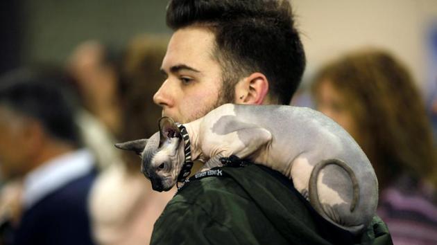 People from across the world frequent the fair to showcase their dogs and know the latest and the best ways of bringing them up. (Reuters) People from across the world frequent the fair to showcase their dogs and know the latest and the best ways of bringing them up. (Reuters)