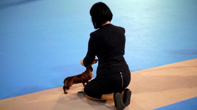 Dog owners would know what we are talking about here. (Reuters) Dog owners would know what we are talking about here. (Reuters)