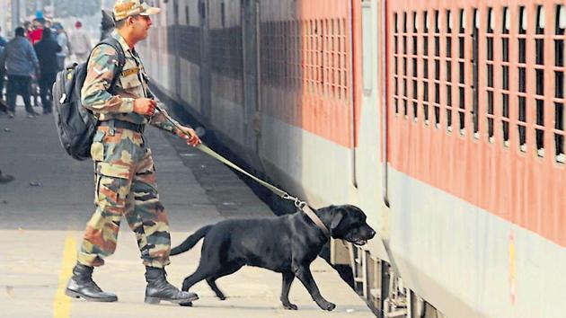 A soldier and a sniffer dog checking the Archana Express at Jalandhar Cantonment railway station on Tuesday. (Pradeep Pandit/HT Photo) A soldier and a sniffer dog checking the Archana Express at Jalandhar Cantonment railway station on Tuesday. (Pradeep Pandit/HT Photo)