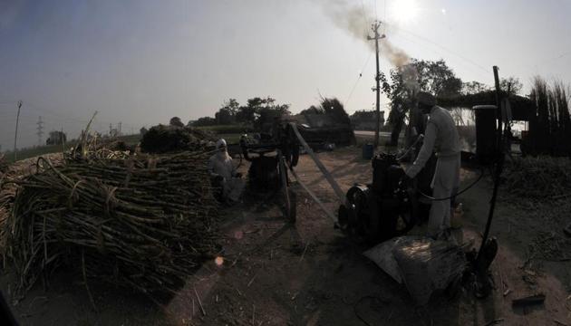 Cane and machines set for jaggery production. (Ravi Kumar/HT)