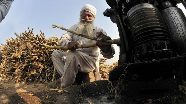 Cane juice being produced for jaggery. (Ravi Kumar/HT)