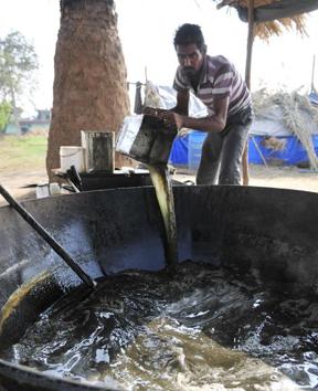 Cane juice ready for a boil. (Ravi Kumar/HT)