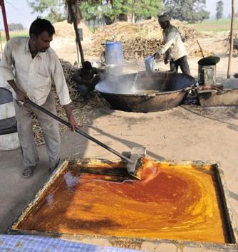 The juice reduced to a concentrate is then cooled and solidified. (Ravi Kumar/HT)