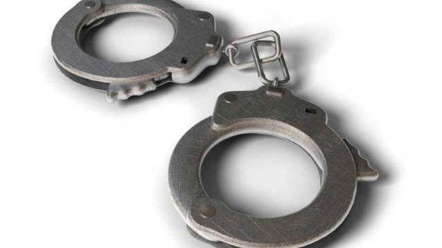 Victoria Bay, 37, was detained on November 22, two days after she spray-painted government buildings with anti-Trump remarks. (Shutterstock photo) Victoria Bay, 37, was detained on November 22, two days after she spray-painted government buildings with anti-Trump remarks. (Shutterstock photo)