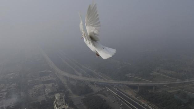 A pigeon flies above high rise buildings amid dense fog, the first of this season in the Delhi-NCR region. Movement of traffic slowed down, especially on the Delhi-Noida and Delhi-Gurgaon expressways. Some flights were delayed too. (Burhaan Kinu/HT PHOTO) A pigeon flies above high rise buildings amid dense fog, the first of this season in the Delhi-NCR region. Movement of traffic slowed down, especially on the Delhi-Noida and Delhi-Gurgaon expressways. Some flights were delayed too. (Burhaan Kinu/HT PHOTO)
