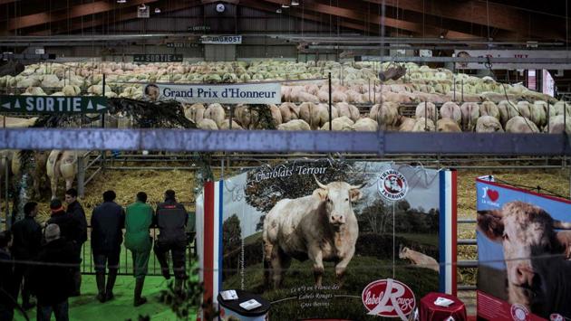 Farmers flock on the opening day of the Festival du boeuf charolais in Charolles, eastern France, on Saturday. (AFP)