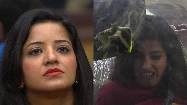Priyanka and Monalisa have had an eventful journey inside the house. (Colors) Priyanka and Monalisa have had an eventful journey inside the house. (Colors)